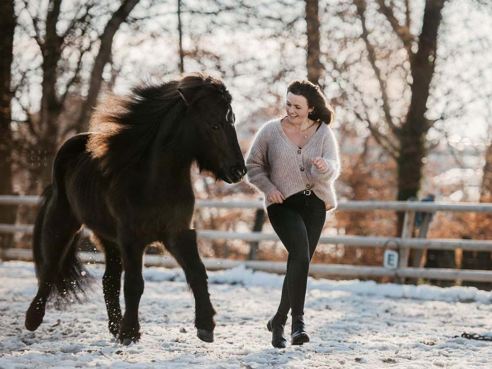 Jahresbetreuung Pferd